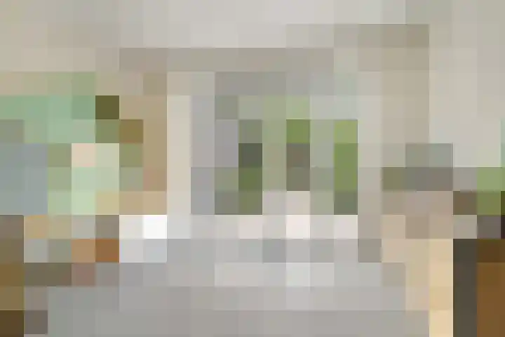 Molenakker 8 Den Hout thumbnail 18