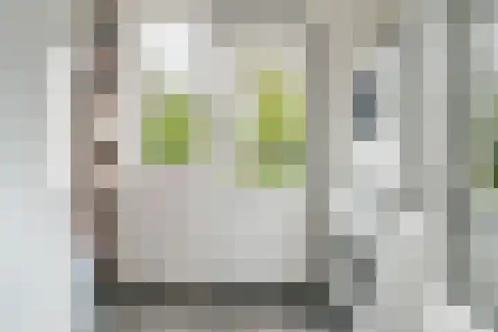 Molenakker 8 Den Hout thumbnail 19