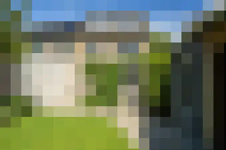 Molenakker 8 Den Hout thumbnail 21