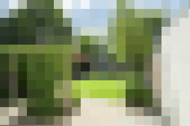 Molenakker 8 Den Hout thumbnail 22