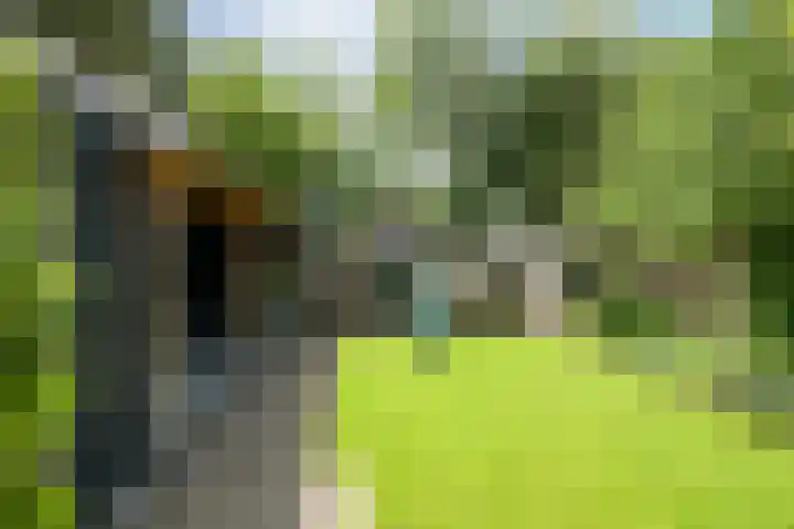 Molenakker 8 Den Hout thumbnail 23