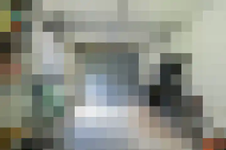 Molenakker 8 Den Hout thumbnail 25