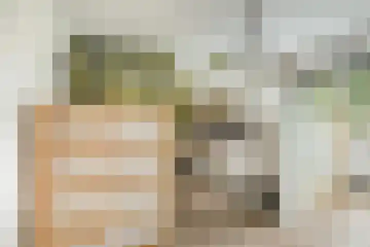 Molenakker 8 Den Hout thumbnail 28