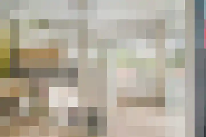 Molenakker 8 Den Hout thumbnail 29