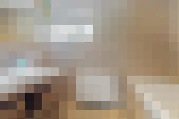 Molenakker 8 Den Hout thumbnail 34