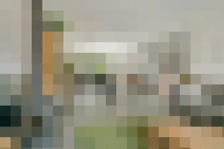Molenakker 8 Den Hout thumbnail 4