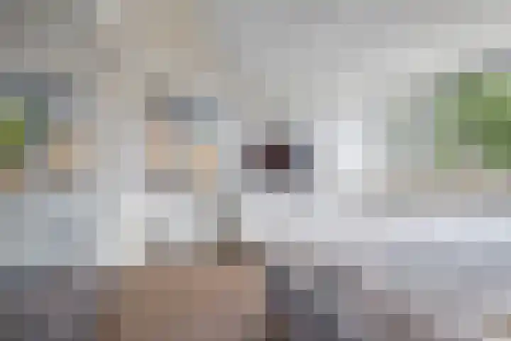 Molenakker 8 Den Hout thumbnail 41