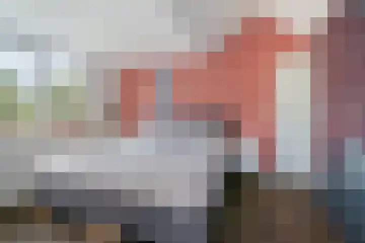 Molenakker 8 Den Hout thumbnail 42