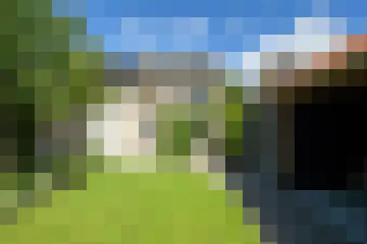 Molenakker 8 Den Hout thumbnail 47