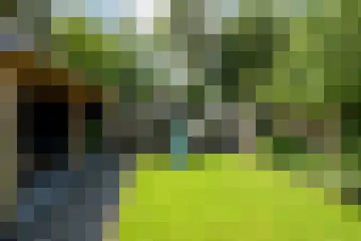 Molenakker 8 Den Hout thumbnail 48