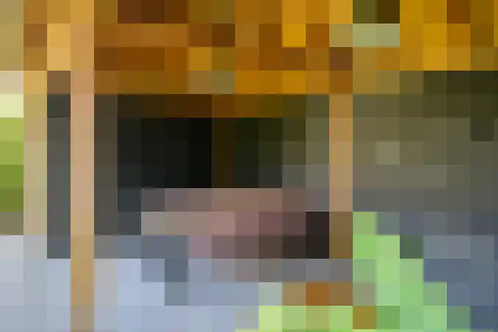 Molenakker 8 Den Hout thumbnail 49