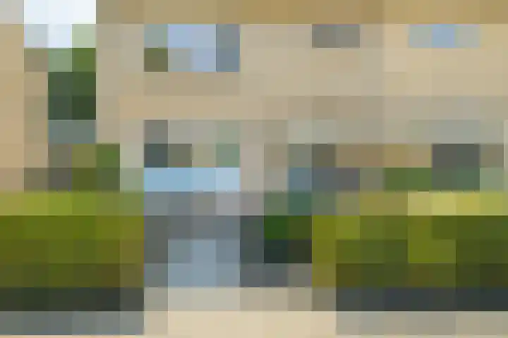 Molenakker 8 Den Hout thumbnail 5