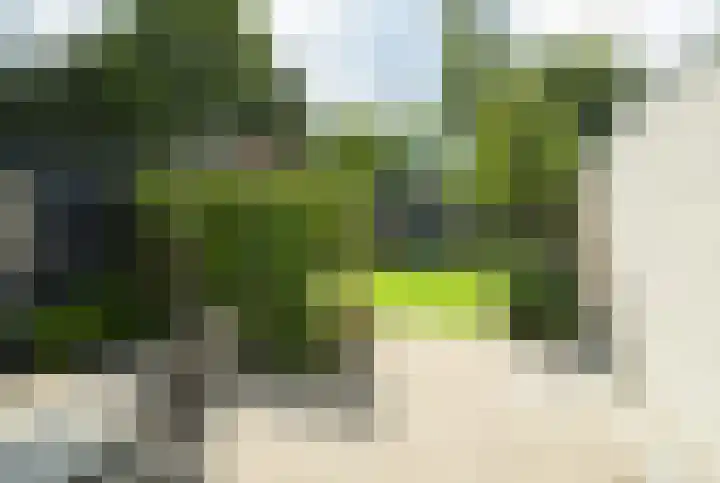 Molenakker 8 Den Hout thumbnail 50