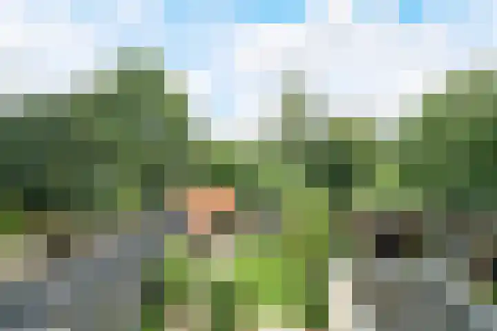 Molenakker 8 Den Hout thumbnail 51