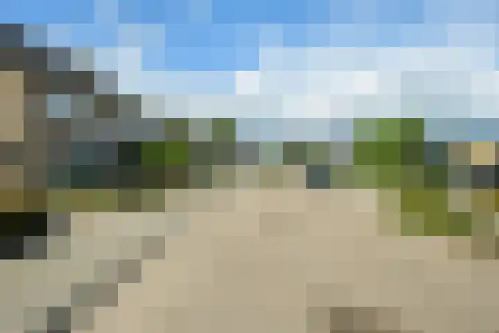 Molenakker 8 Den Hout thumbnail 52