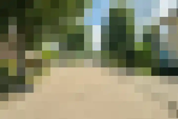 Molenakker 8 Den Hout thumbnail 53