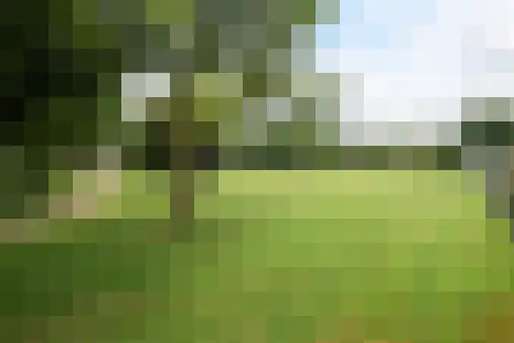 Molenakker 8 Den Hout thumbnail 54