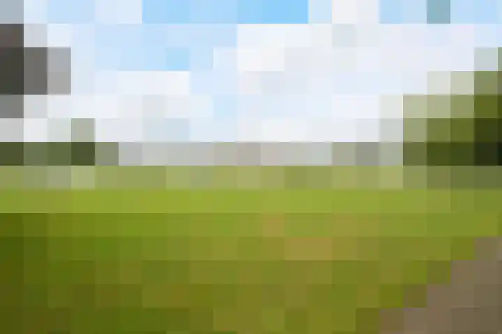 Molenakker 8 Den Hout thumbnail 55