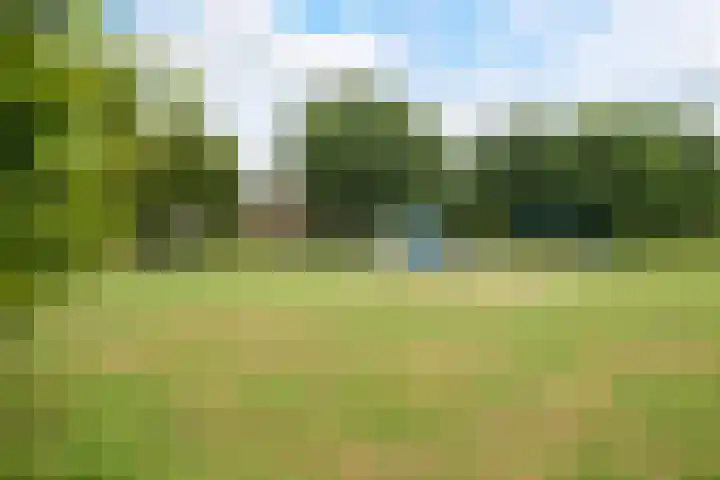 Molenakker 8 Den Hout thumbnail 56