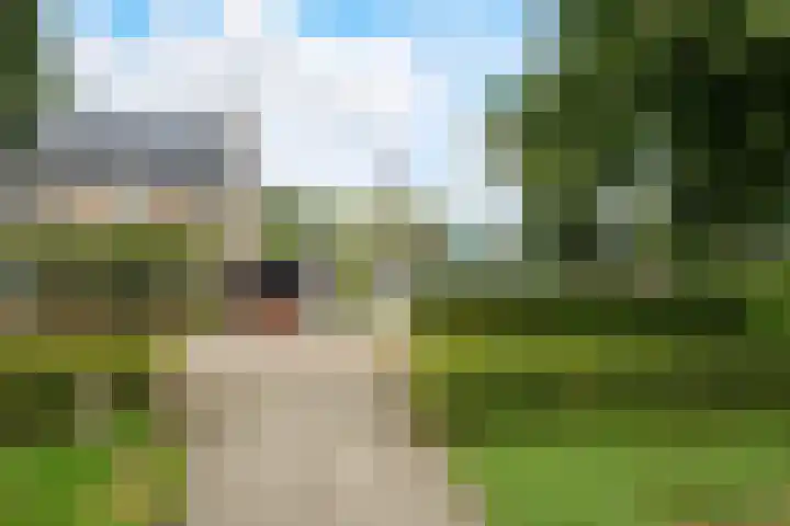 Molenakker 8 Den Hout thumbnail 57