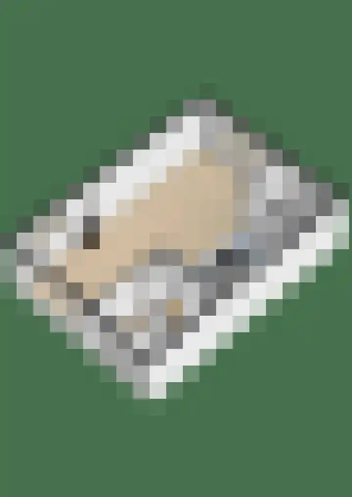 Molenakker 8 Den Hout thumbnail 64