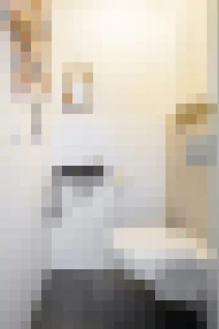 Molenakker 8 Den Hout thumbnail 8