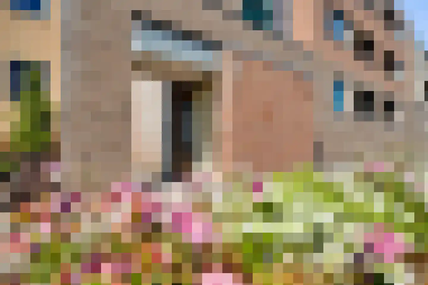 Molenakkerplein 51 Weert thumbnail 9