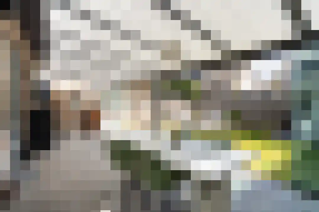 Molenakkerplein 6 Weert thumbnail 36
