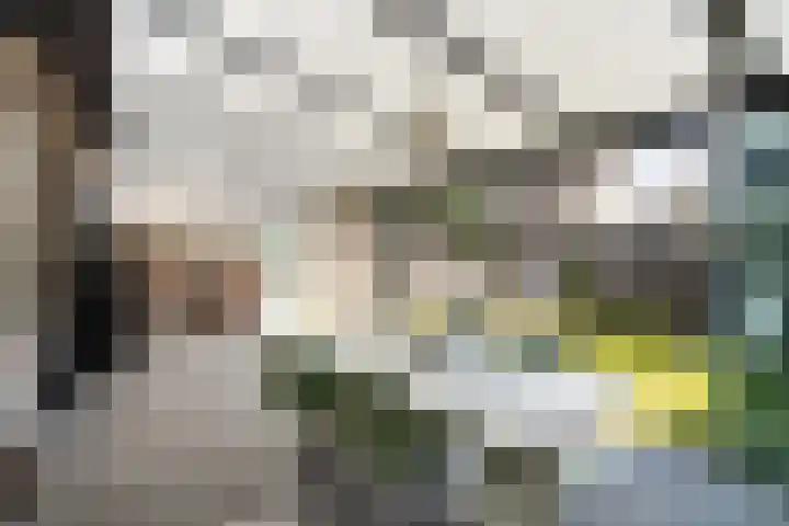 Molenakkerplein 6 Weert thumbnail 36