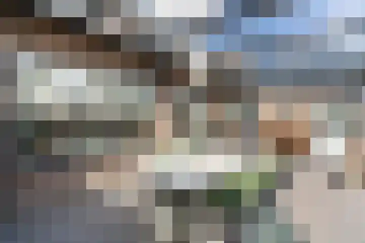 Molenakkerplein 6 Weert thumbnail 37