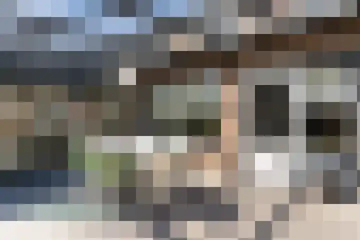 Molenakkerplein 6 Weert thumbnail 38