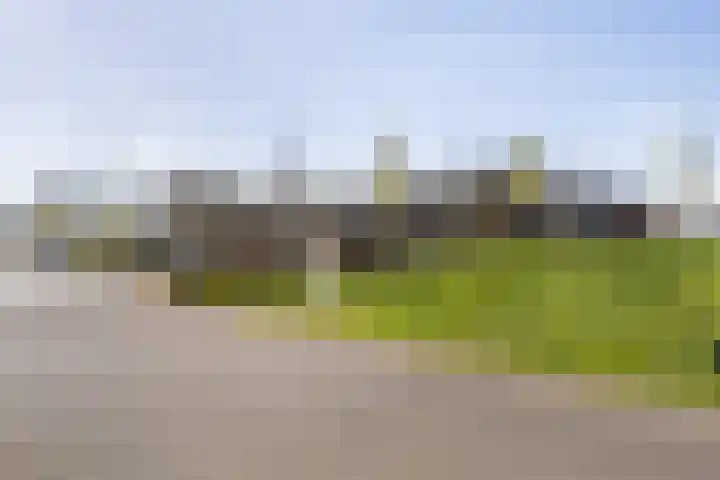 Molenakkerplein 6 Weert thumbnail 47
