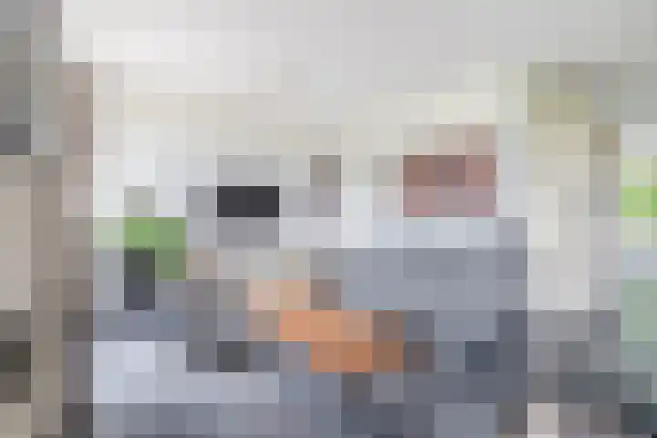 Molenakkers 10 Eersel thumbnail 11