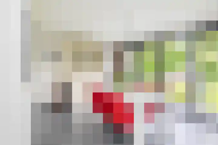 Molenakkers 10 Eersel thumbnail 16