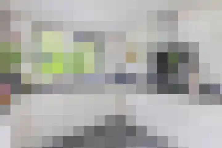 Molenakkers 10 Eersel thumbnail 19