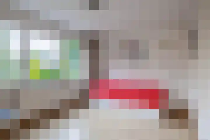 Molenakkers 10 Eersel thumbnail 25