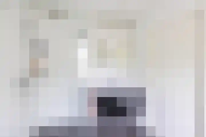 Molenakkers 10 Eersel thumbnail 28