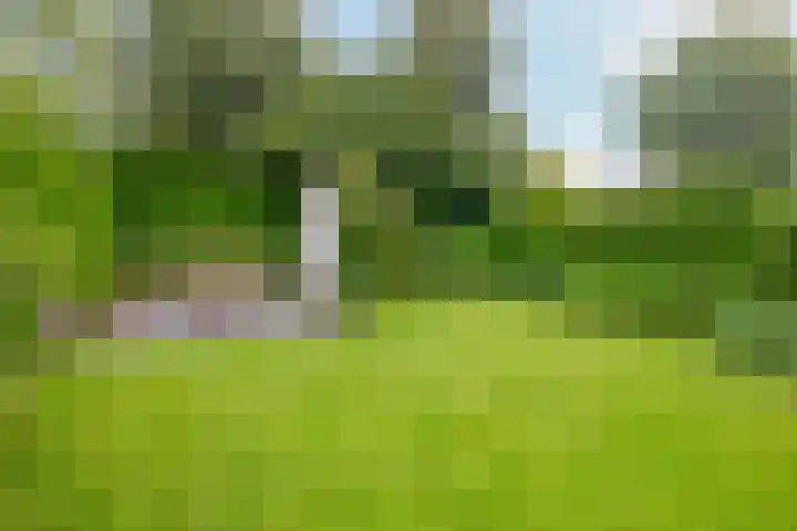 Molenakkers 10 Eersel thumbnail 35