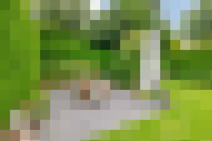 Molenakkers 10 Eersel thumbnail 37