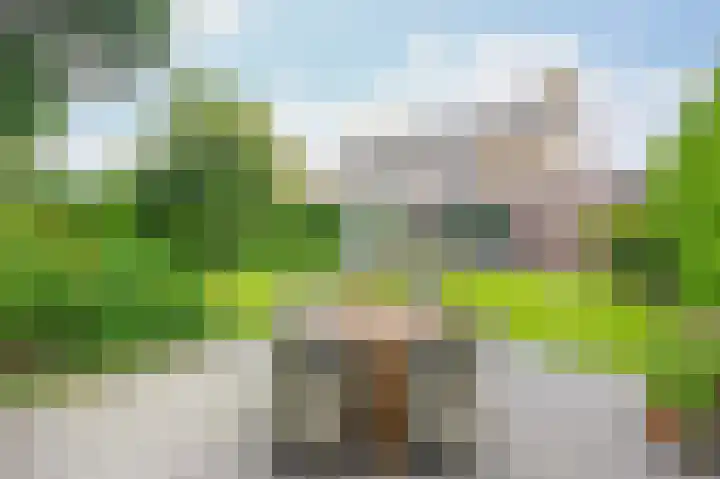 Molenakkers 10 Eersel thumbnail 38
