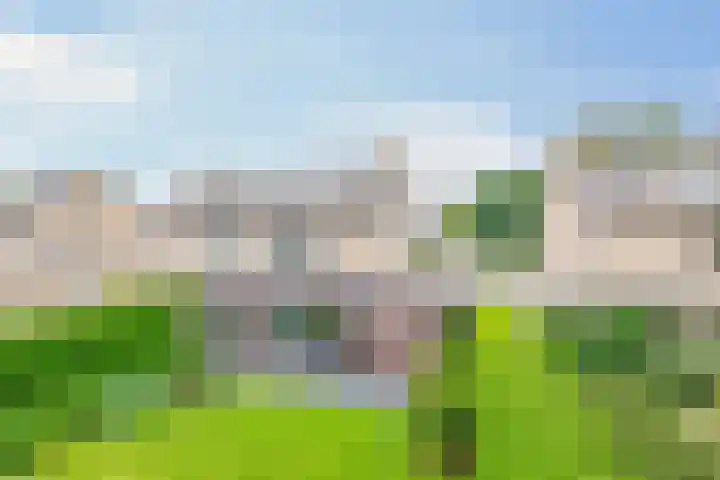 Molenakkers 10 Eersel thumbnail 39