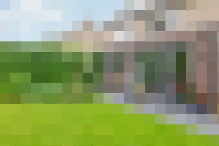 Molenakkers 10 Eersel thumbnail 40