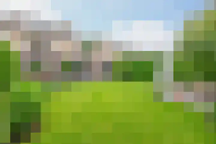 Molenakkers 10 Eersel thumbnail 41
