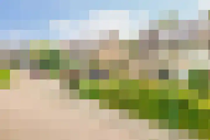Molenakkers 10 Eersel thumbnail 48