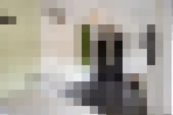 Molenakkers 11 Vorstenbosch thumbnail 21