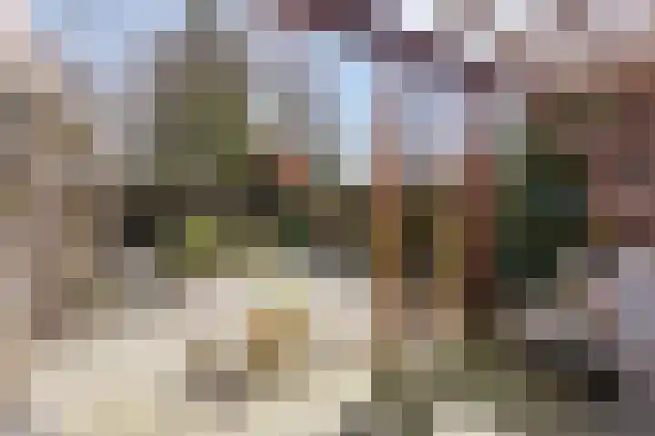 Molenakkers 11 Vorstenbosch thumbnail 29