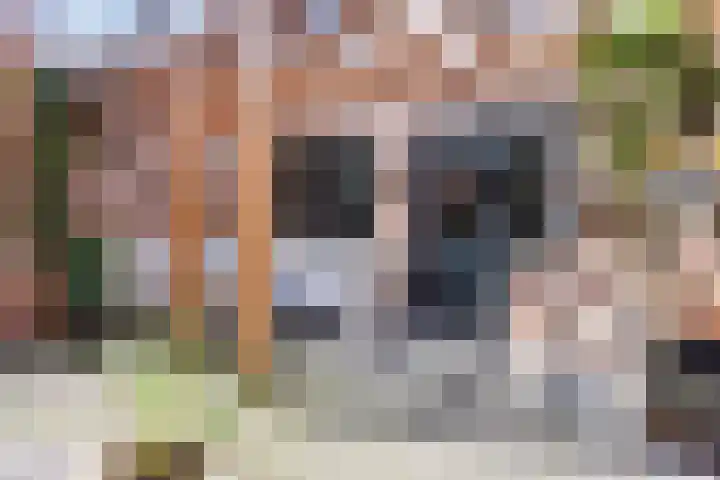Molenakkers 11 Vorstenbosch thumbnail 30