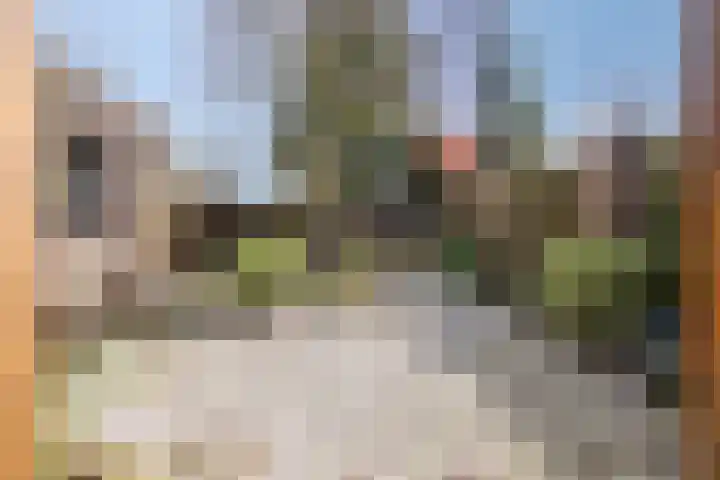 Molenakkers 11 Vorstenbosch thumbnail 32