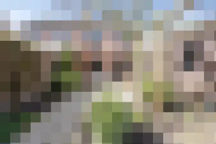 Molenakkers 11 Vorstenbosch thumbnail 33