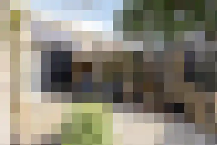 Molenakkers 11 Vorstenbosch thumbnail 34